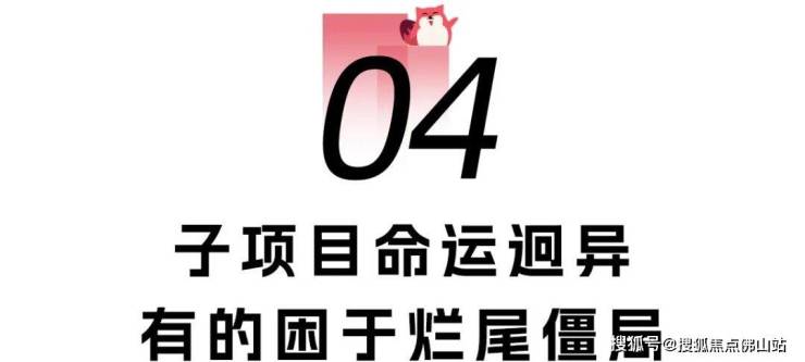 有的走向复活有的沦为仓库实探!南庄烂尾楼命运迥异(图3)